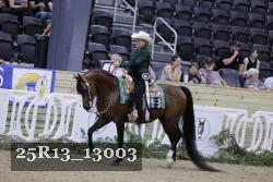25R13_13003 proof