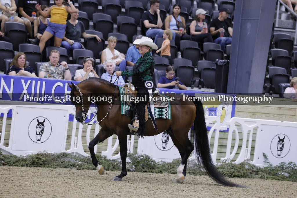 Proof 25R13_13005
