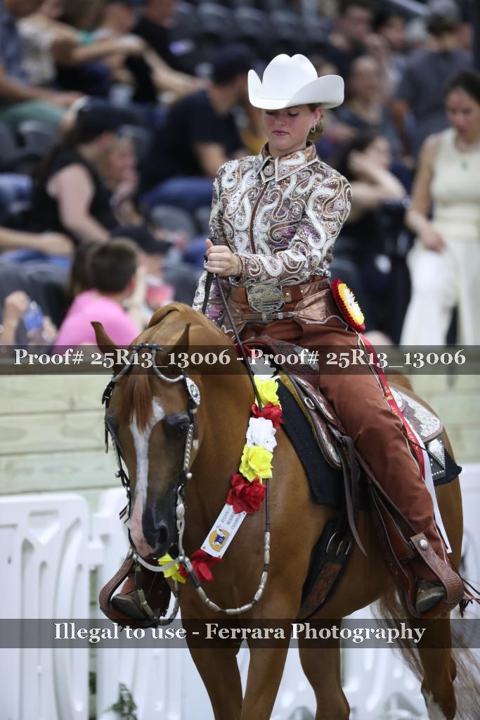 Proof 25R13_13006