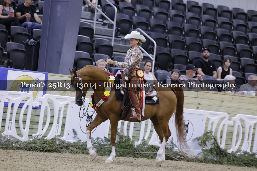 Proof 25R13_13014