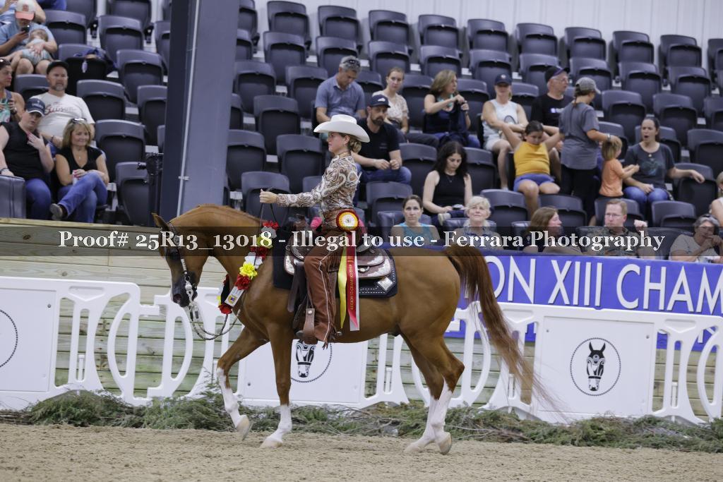 Proof 25R13_13018