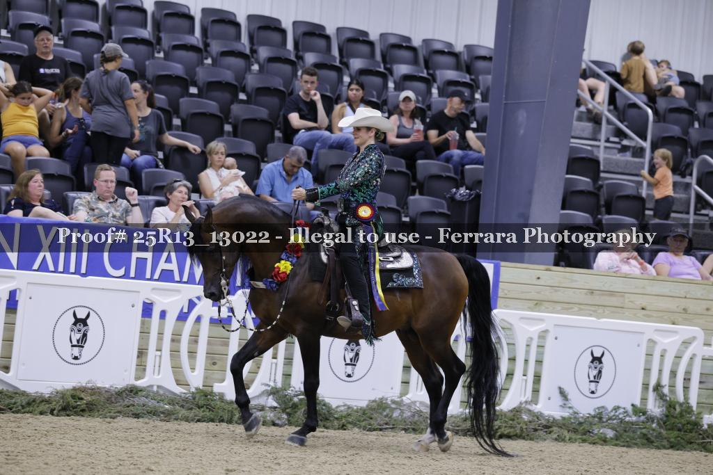Proof 25R13_13022