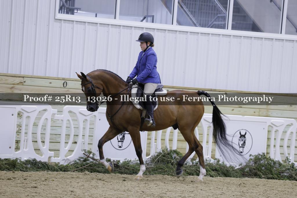 Proof 25R13_13026