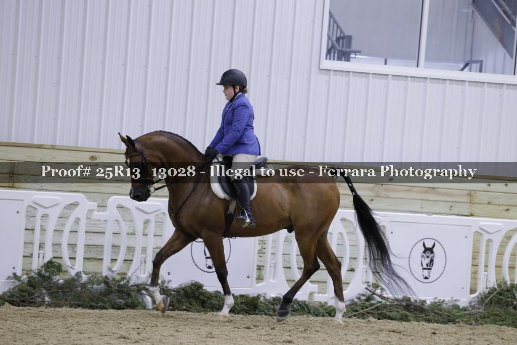 Proof 25R13_13028