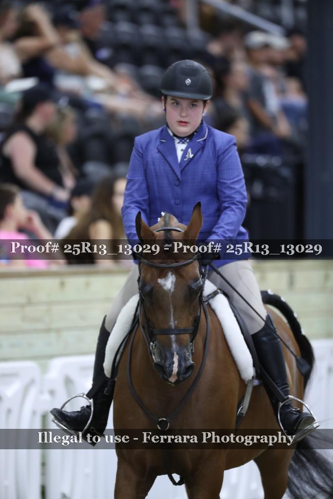 Proof 25R13_13029