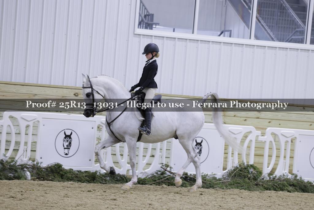 Proof 25R13_13031
