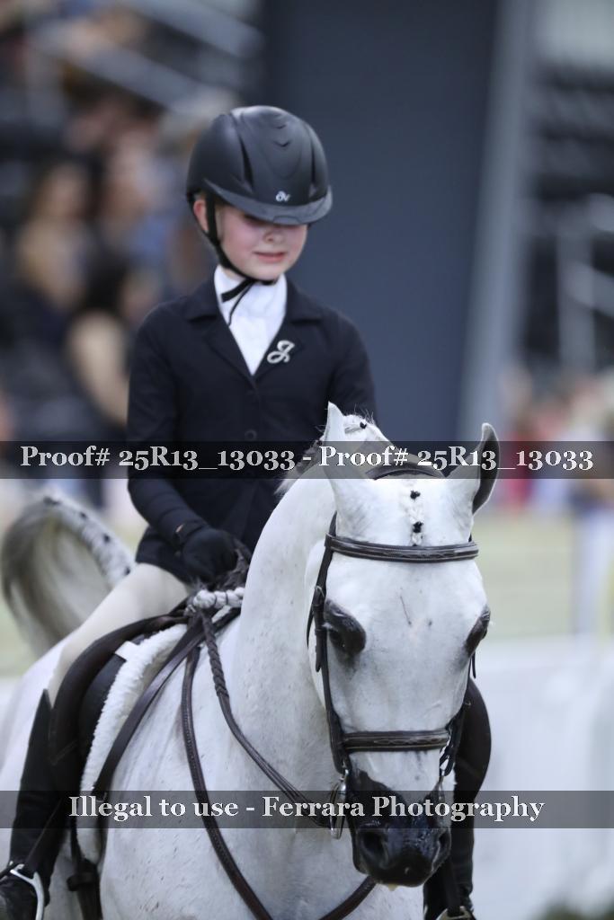 Proof 25R13_13033