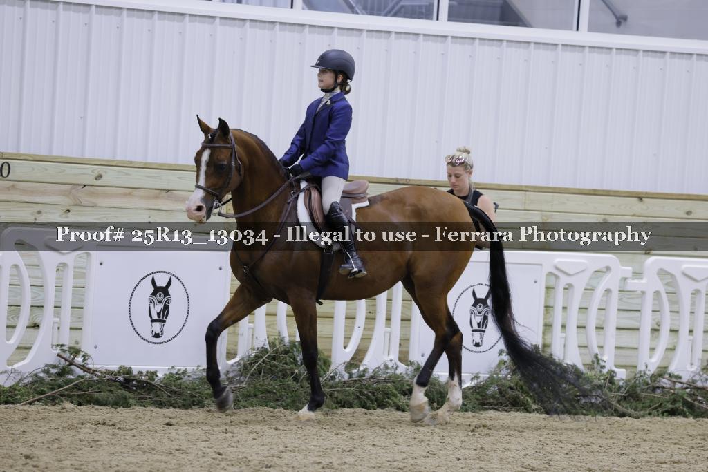 Proof 25R13_13034