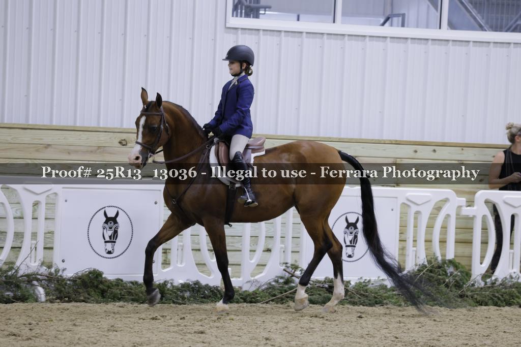 Proof 25R13_13036