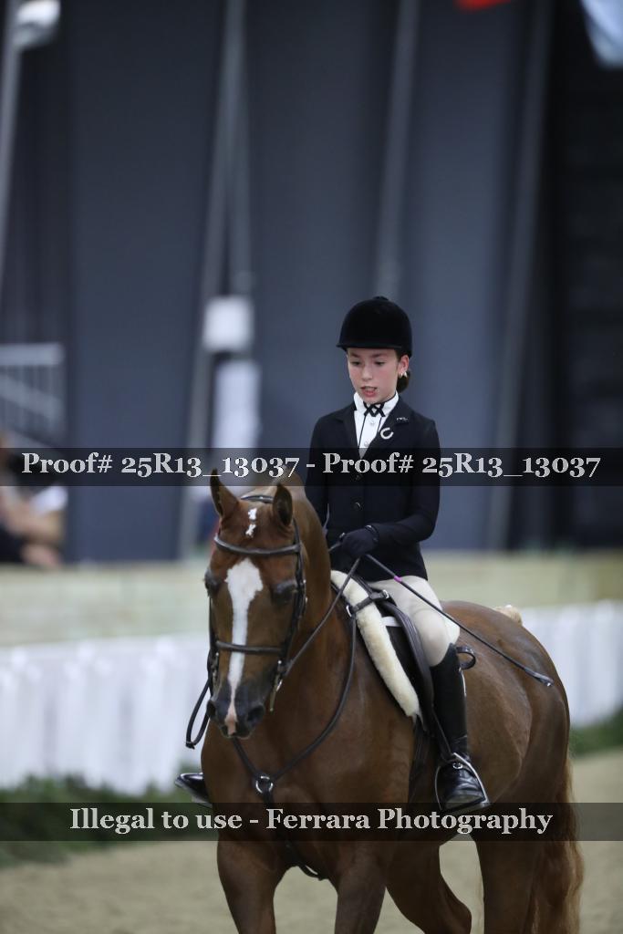 Proof 25R13_13037