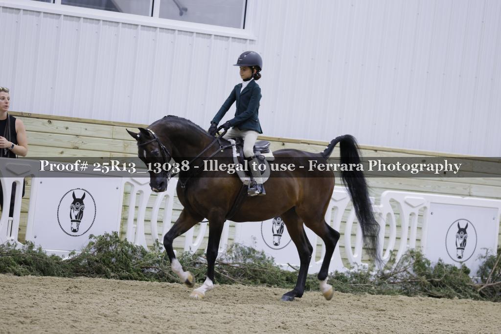 Proof 25R13_13038