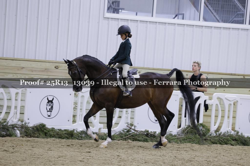 Proof 25R13_13039