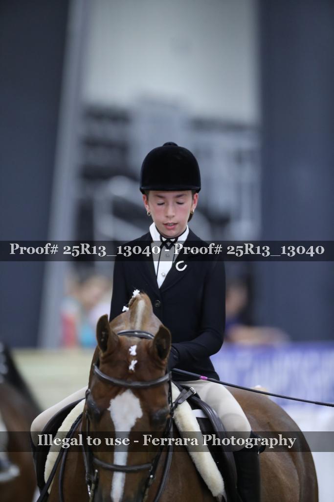 Proof 25R13_13040