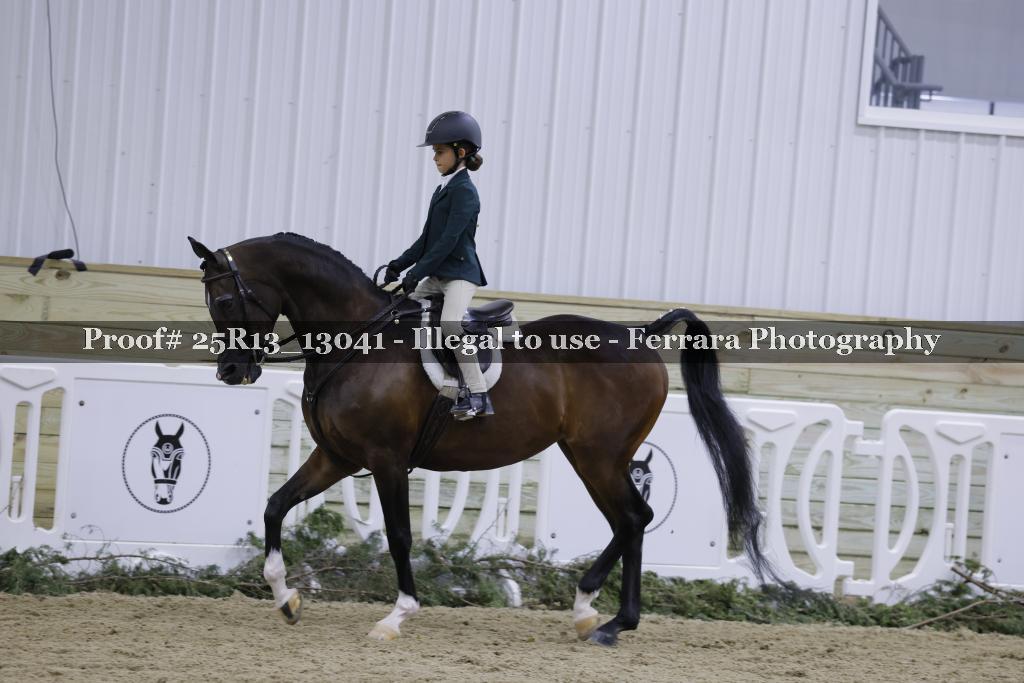 Proof 25R13_13041