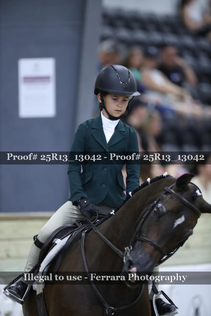 Proof 25R13_13042