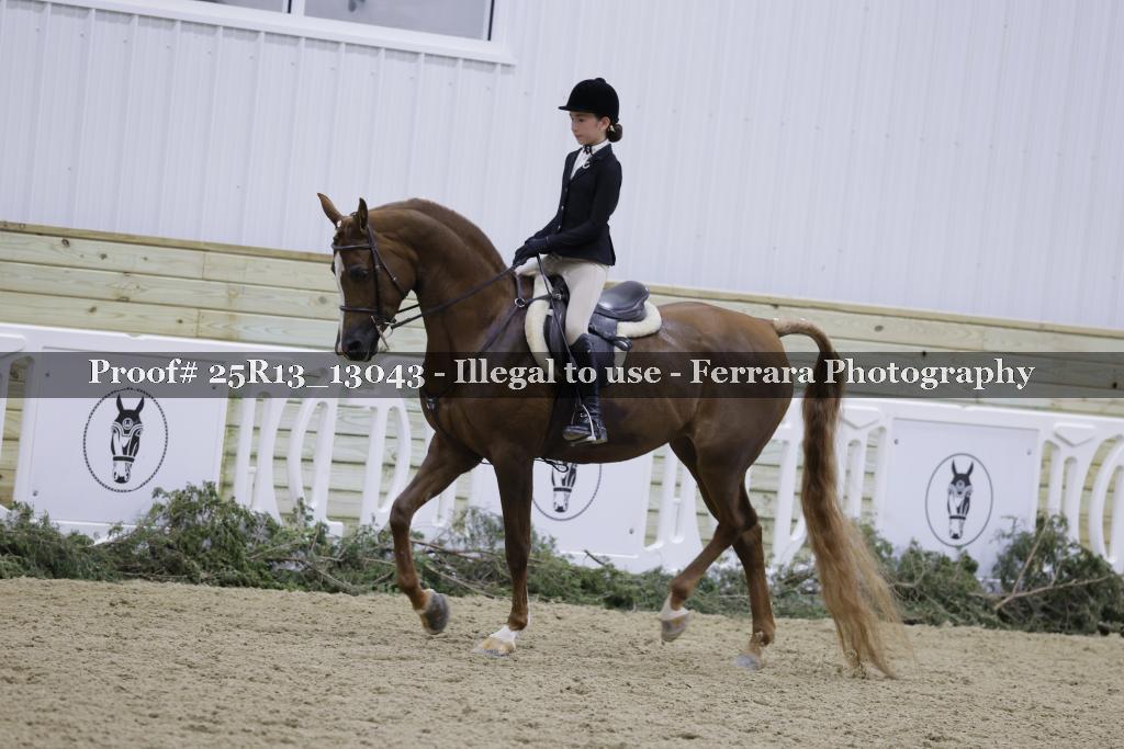 Proof 25R13_13043