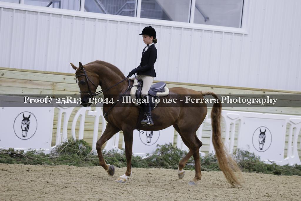 Proof 25R13_13044