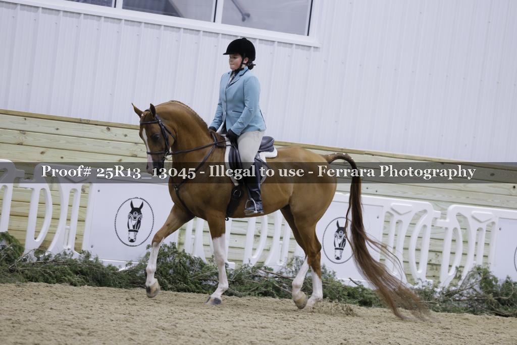 Proof 25R13_13045
