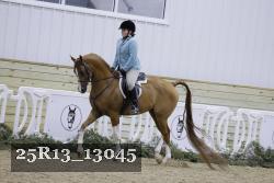 25R13_13045 proof