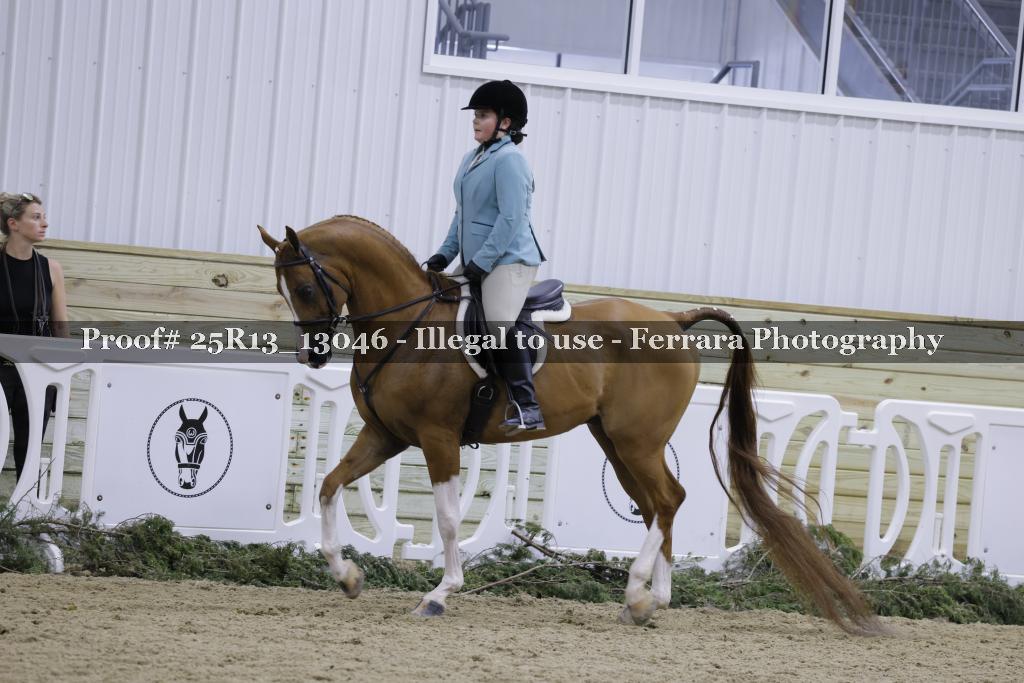 Proof 25R13_13046