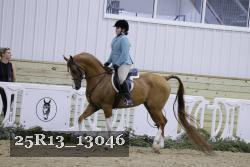 25R13_13046 proof