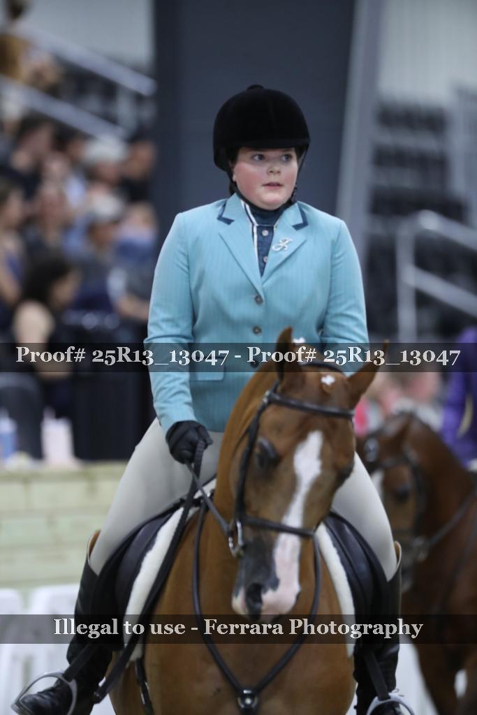 Proof 25R13_13047