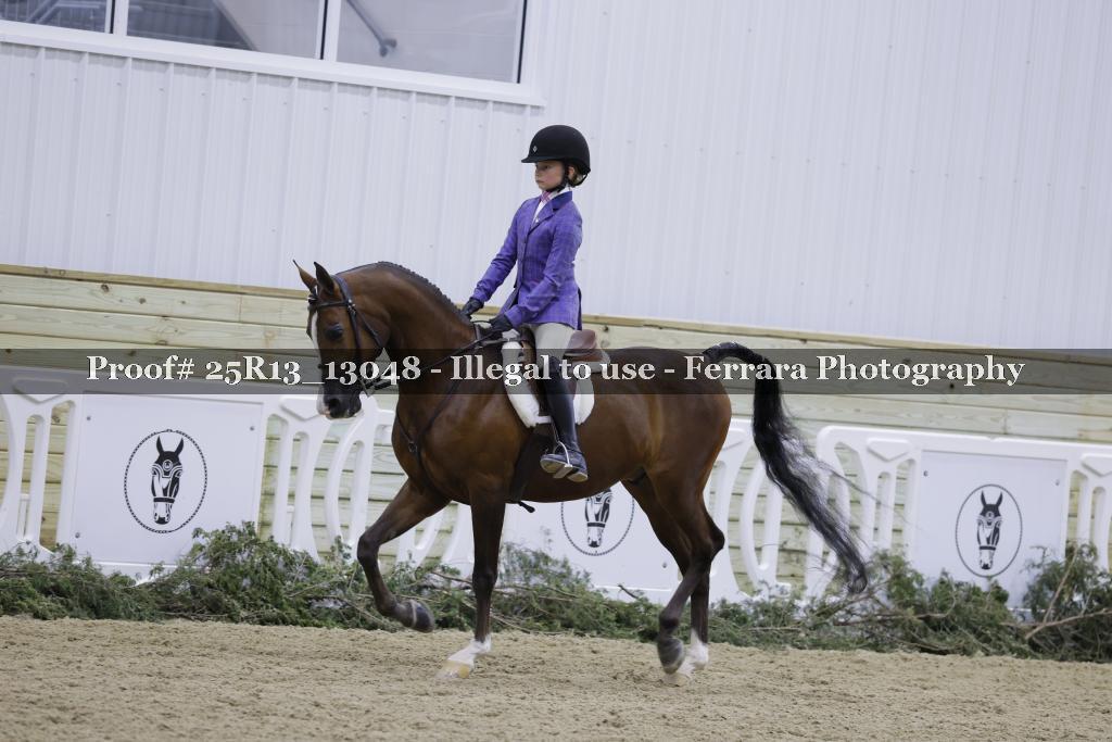 Proof 25R13_13048