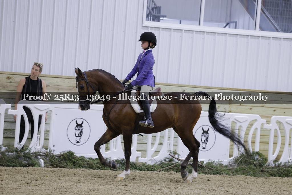 Proof 25R13_13049
