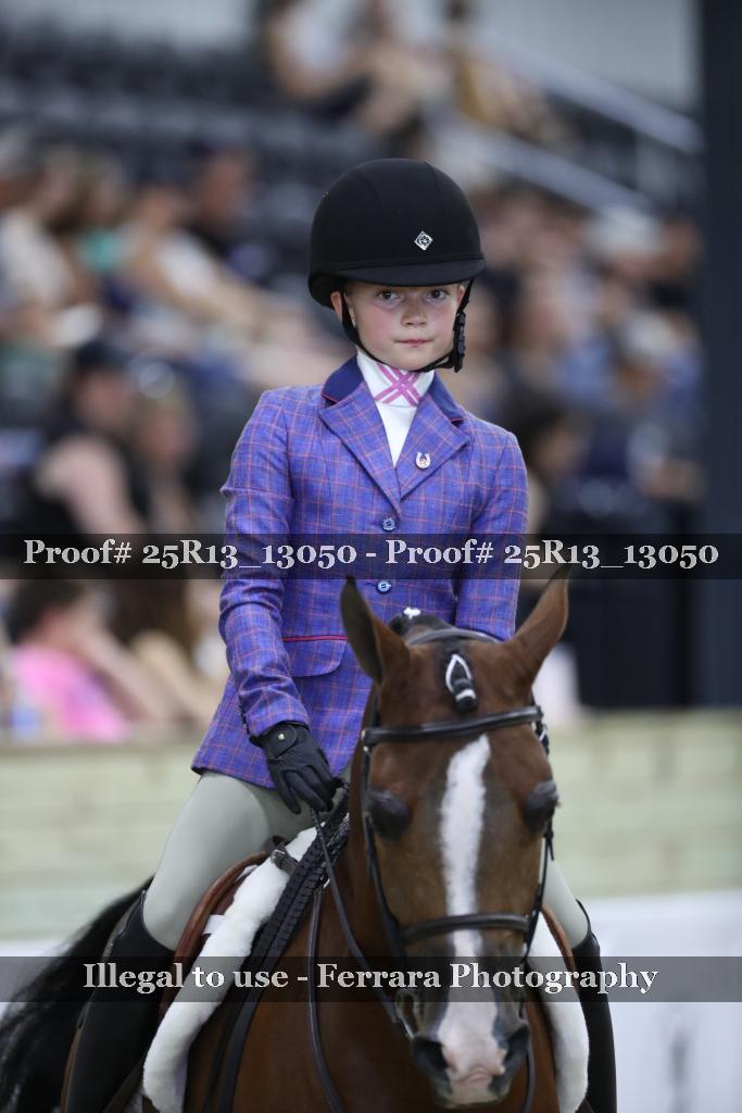 Proof 25R13_13050
