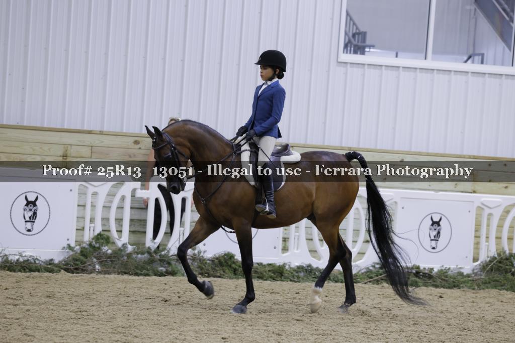 Proof 25R13_13051