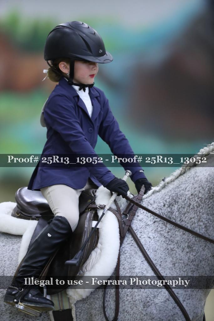 Proof 25R13_13052