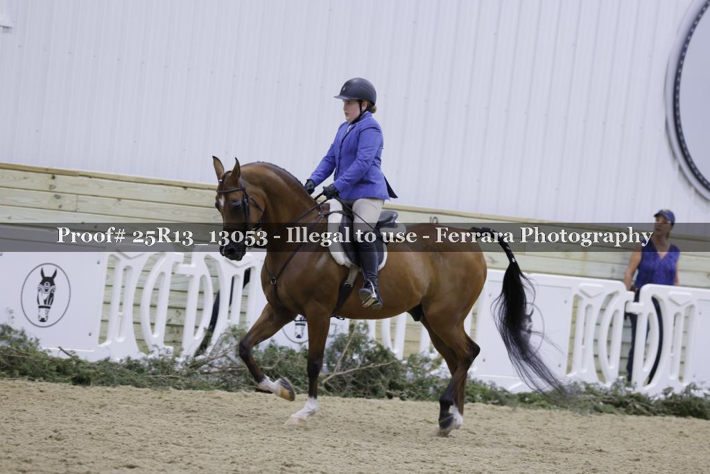 Proof 25R13_13053