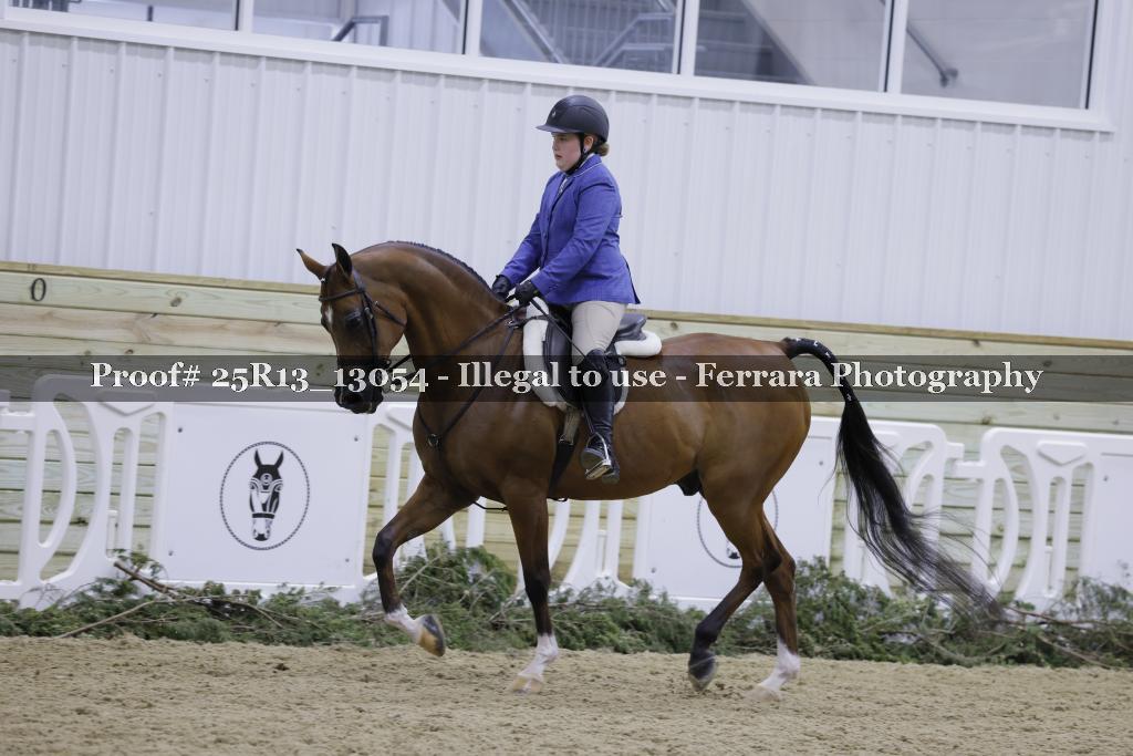 Proof 25R13_13054