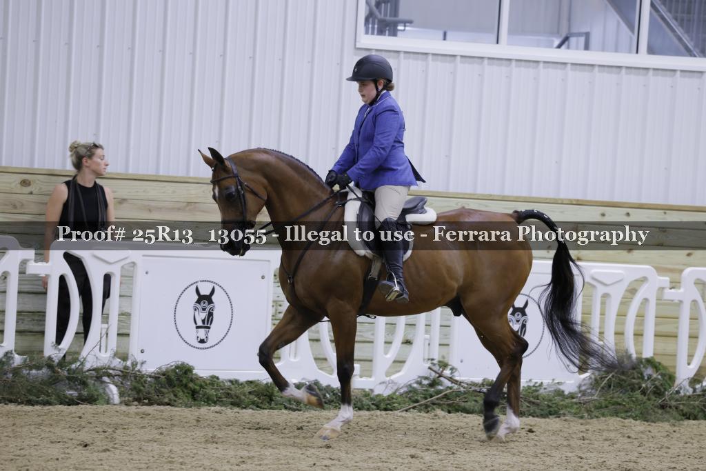 Proof 25R13_13055