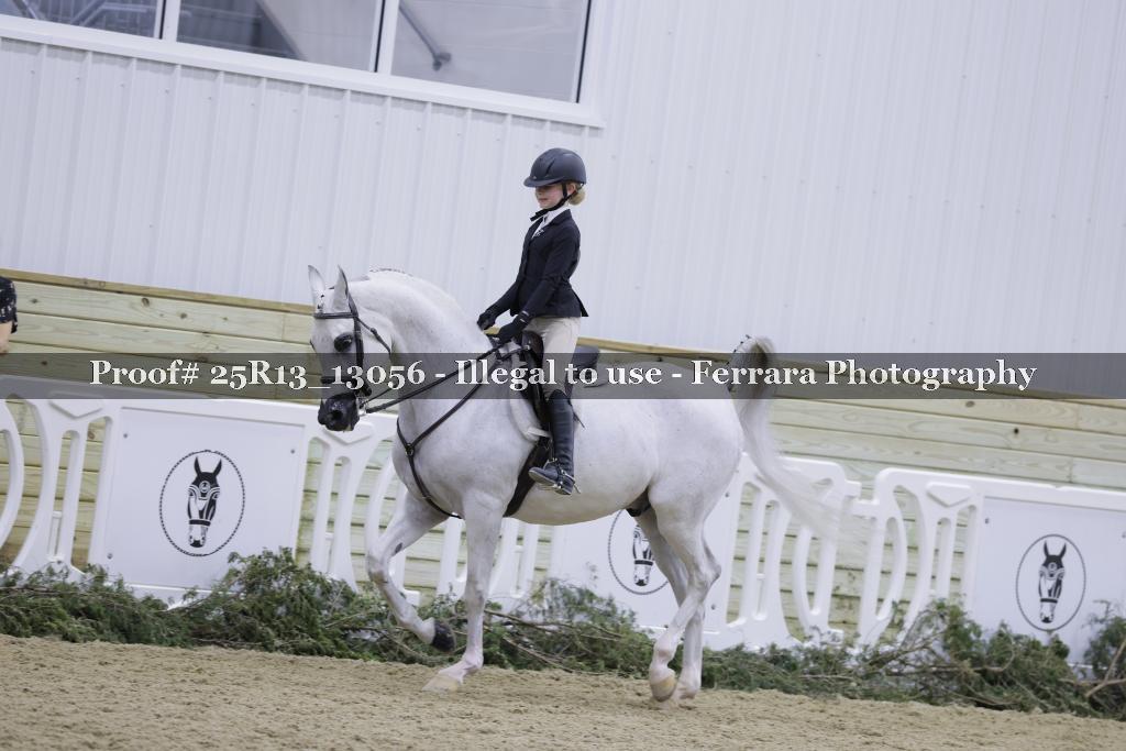 Proof 25R13_13056