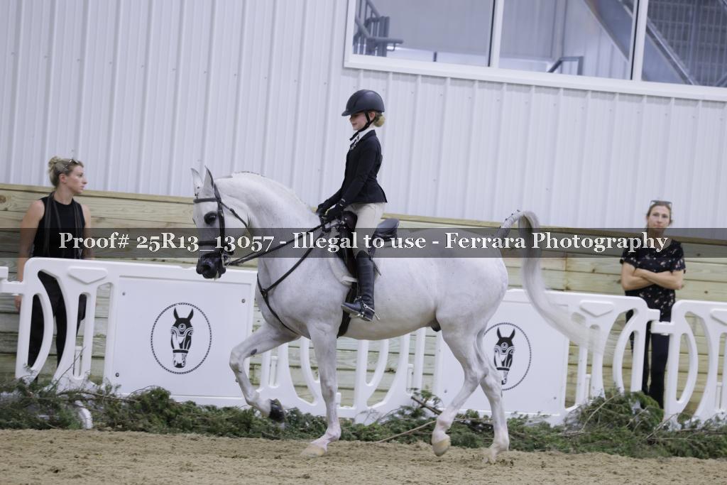 Proof 25R13_13057