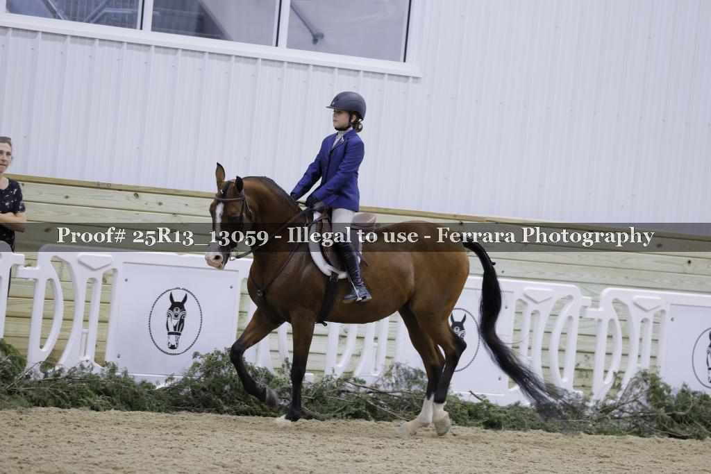 Proof 25R13_13059