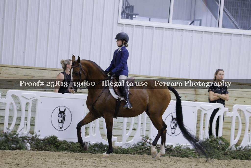 Proof 25R13_13060