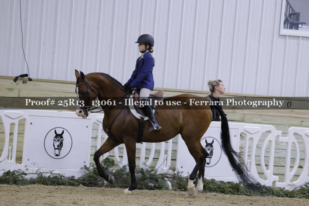 Proof 25R13_13061