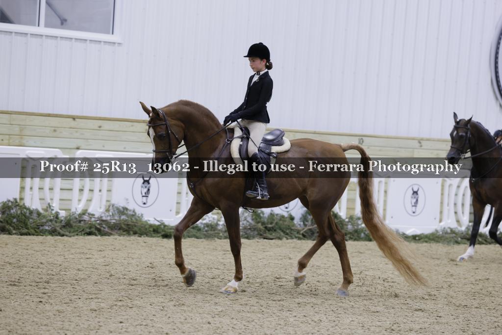 Proof 25R13_13062
