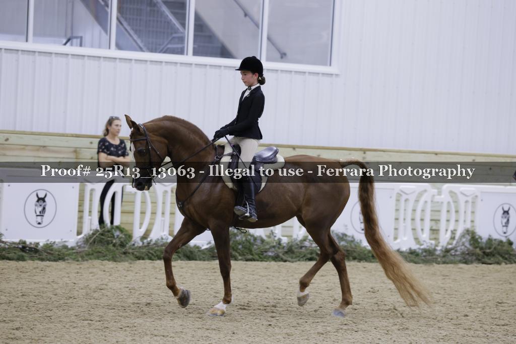 Proof 25R13_13063