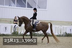 25R13_13063 proof