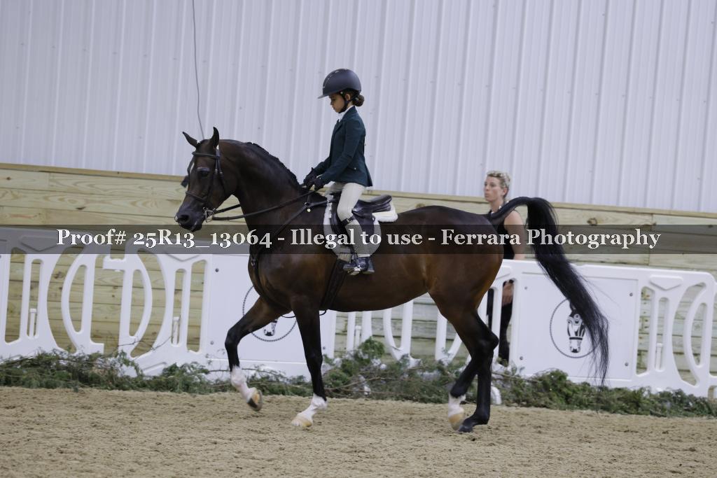 Proof 25R13_13064