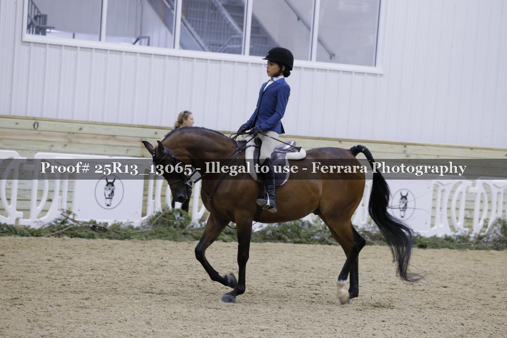 Proof 25R13_13065