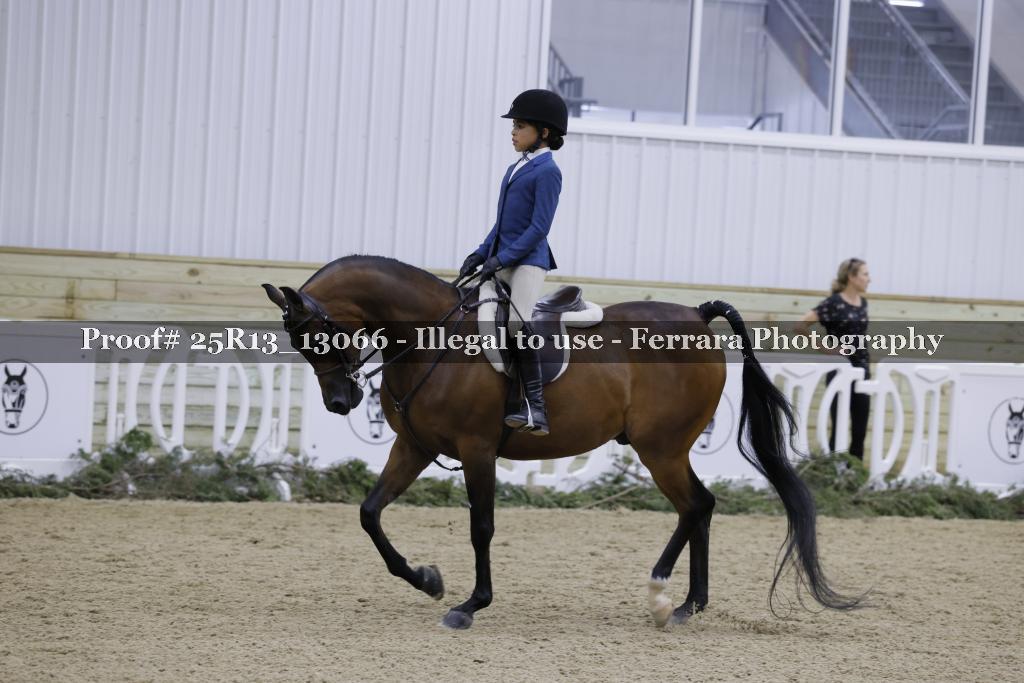 Proof 25R13_13066