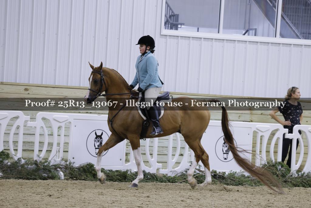 Proof 25R13_13067