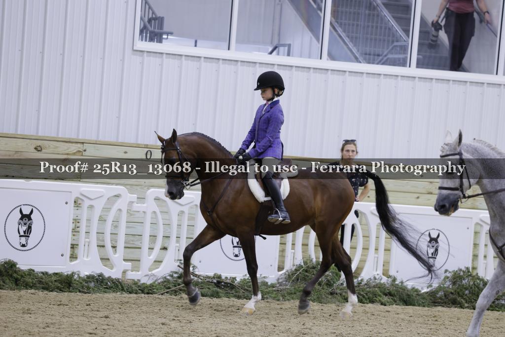 Proof 25R13_13068