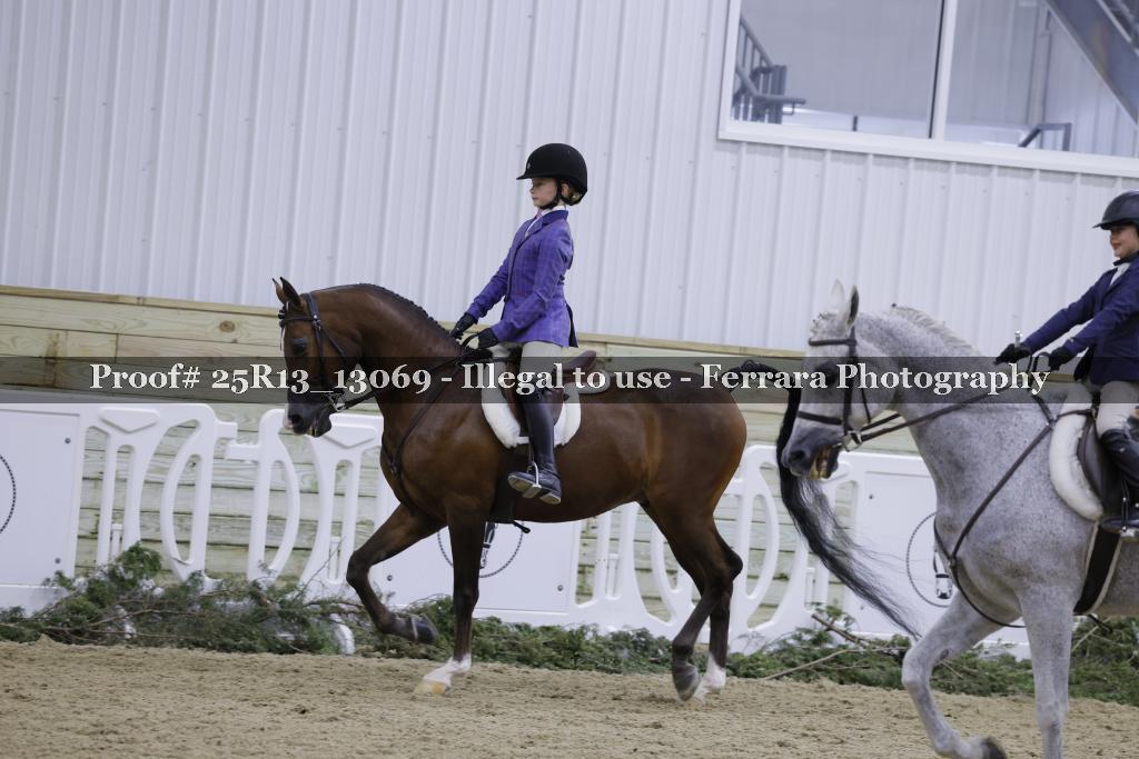 Proof 25R13_13069