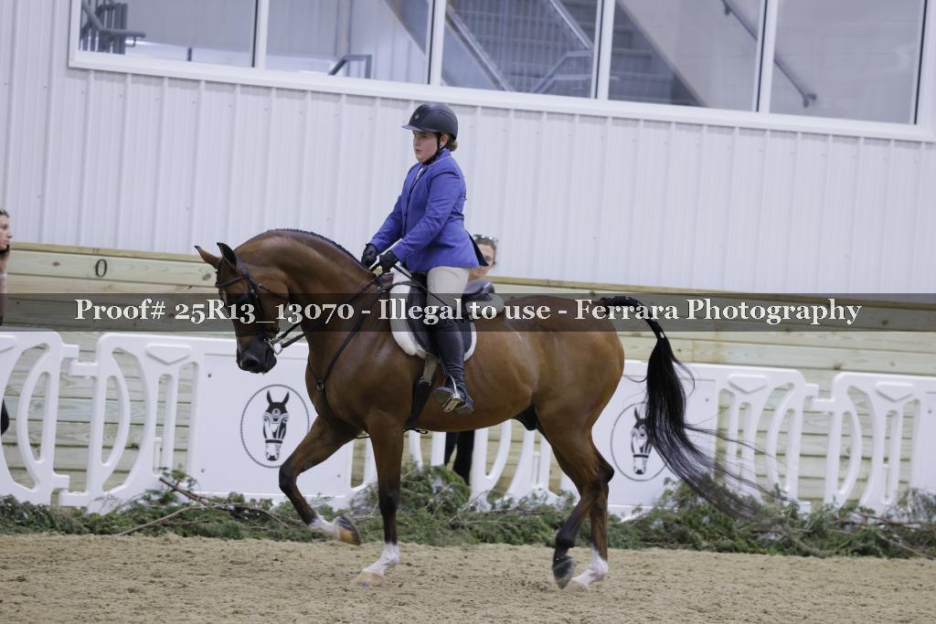Proof 25R13_13070