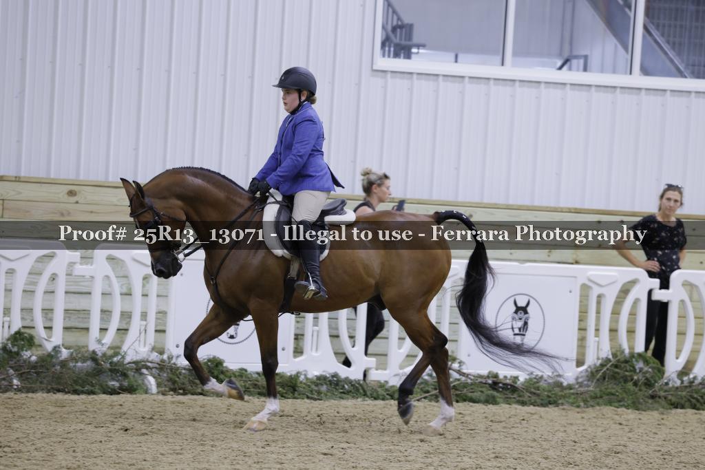 Proof 25R13_13071